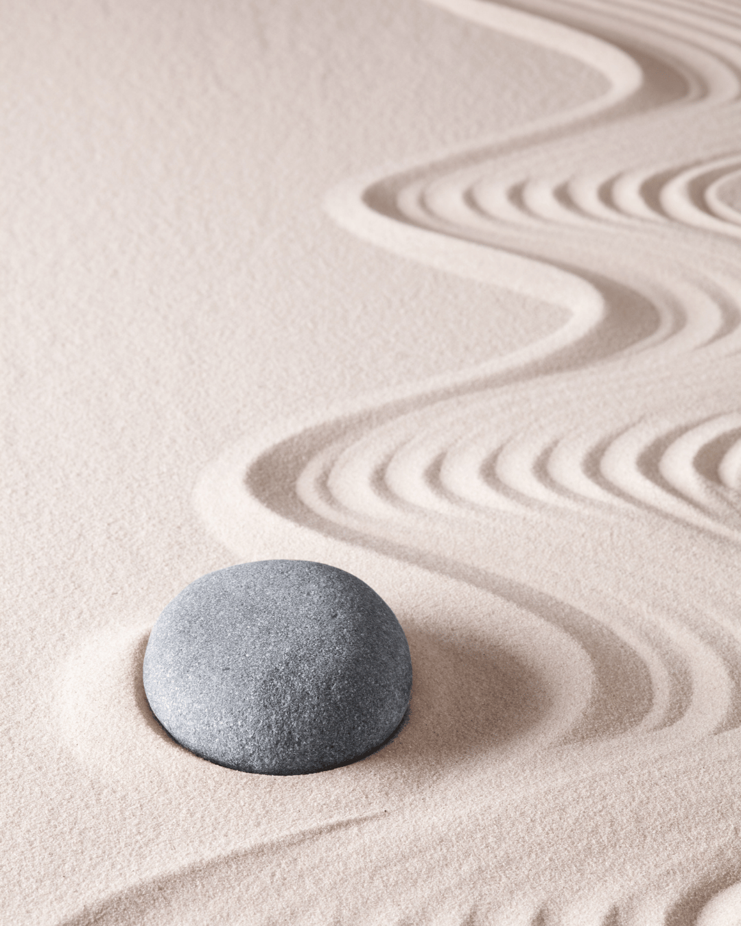 dottoressa di leo psicoterapeuta catania back